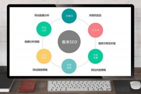 seo案例分析100例（seo案例模板）