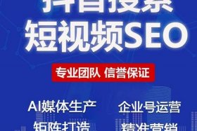 seo短视频网页营销、seo短视频网页营销方案
