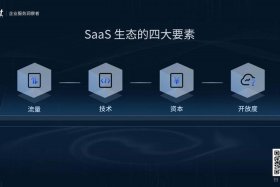 saas建设；saas平台运营