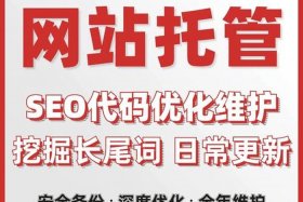 seo代运营（seo代运营公司）