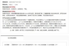 SEO案例分析检验，seo经典案例