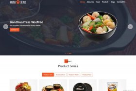WordPress建站公司、外贸独立站建站公司