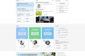 web个人网站设计，网页设计制作网站