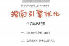 seo网站优化工具、免费seo快速收录工具
