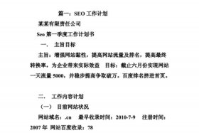 seo工作经验（seo经验是什么）