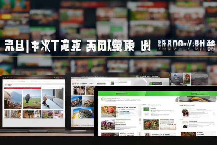 800元建站效果如何（建站平台哪家好）