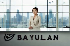 白玉兰海外推广大使是什么意思、白玉兰品牌总裁是谁