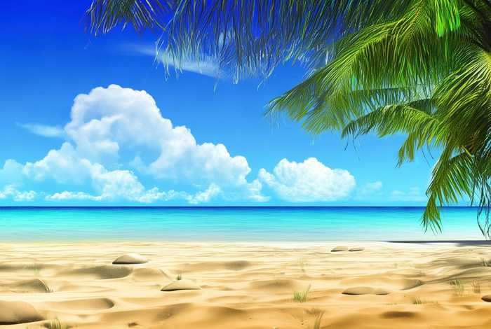 海南网站建设、海南网站建设优化排名 海南网站建设、海南网站建设优化排名