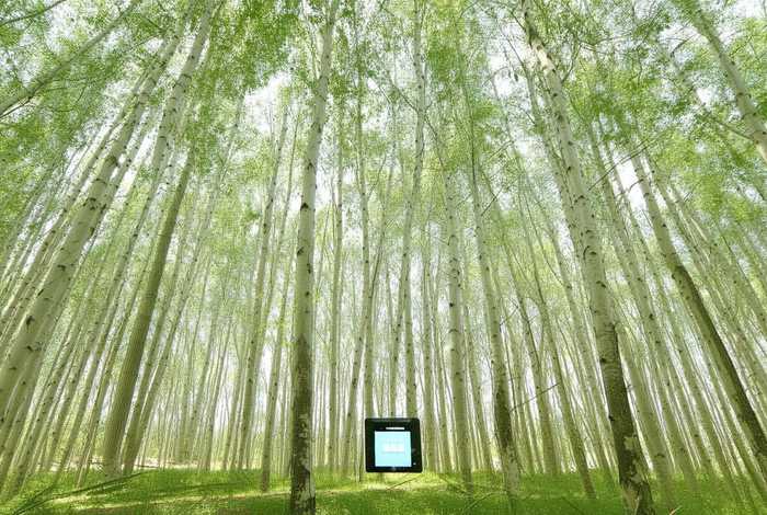 百度关键词优化白杨案例 - 百度的关键词优化案例 百度关键词优化白杨案例 - 百度的关键词优化案例