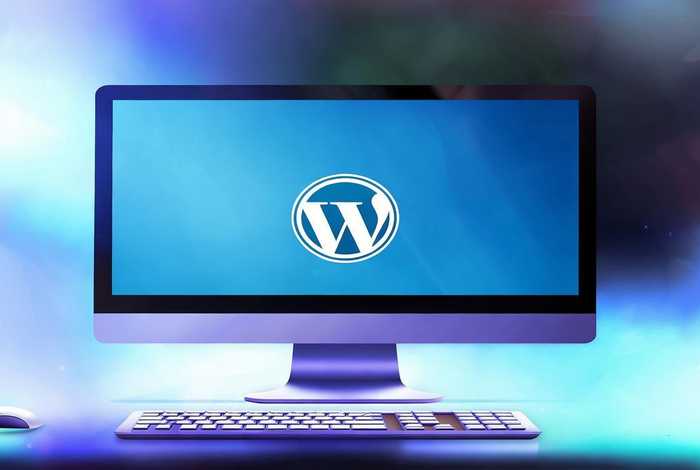 wordpress网站入口是什么224190 - wordpress站点是什么