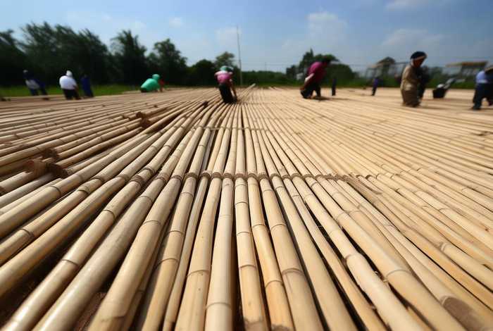 搭建大棚杆子多少钱一根（搭建大棚杆子多少钱一根啊）