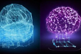internet和internetwork区别；internet network 和web的区别在哪里