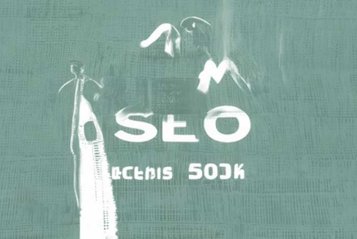 谷歌seo搜索推广公司 谷歌seo搜索推广公司怎么样