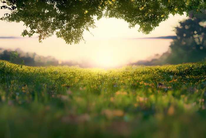 高清无水印素材片源网、高清无水印素材片源网站下载 高清无水印素材片源网、高清无水印素材片源网站下载