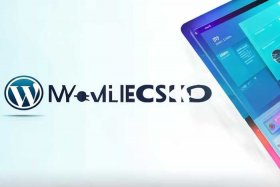 帝国cms wordpress 帝国cms word插件