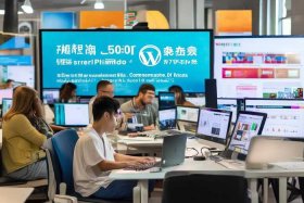 wordpress网站建设 - wordpress网站建设500元全包