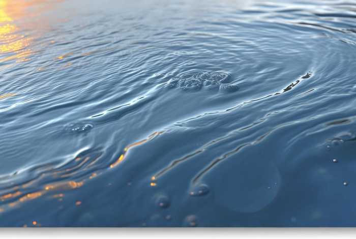 付费版权图片什么意思（付费版权图片什么意思啊）