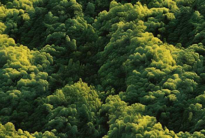 dw怎么把背景图片铺满、dw怎么将背景图片铺满