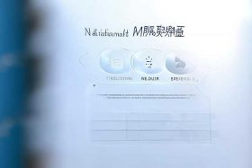 国家市场监管总局网上服务平台、国家市场监管总局网上服务平台官网