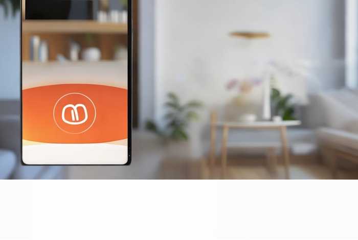 app下载并安装，米家app下载并安装