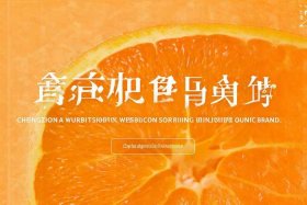 橙子建站是什么网站、橙子建站是什么网站干什么用的