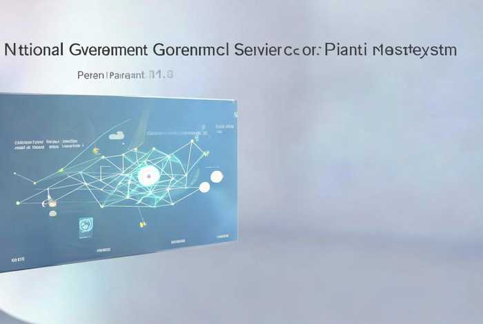 国家政务服务平台查询个人信息 - 国家政务服务平台查询个人信息系统