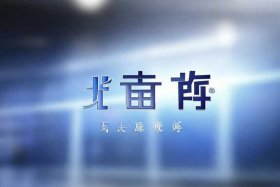 国家市场监管总局官网网站查询入口 - 国家市场监督管理总局查询官网