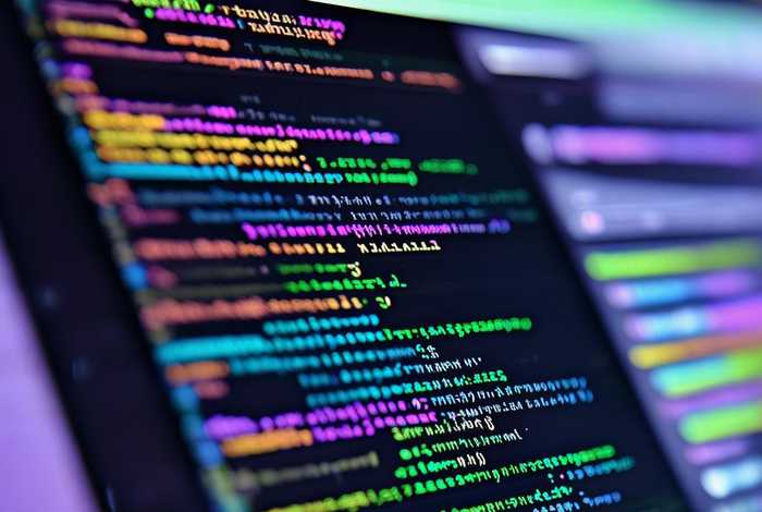 web网页开发基础期末作业、web开发基础期末