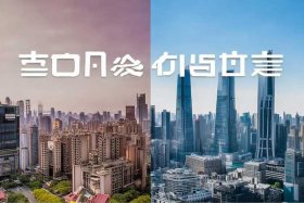 公司企业网站中文站和英文站域名的区别；中文网址和英文域名的区别