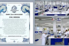 国家认可的检测机构一定要具有cma（具有cma认证机构的检测费用）