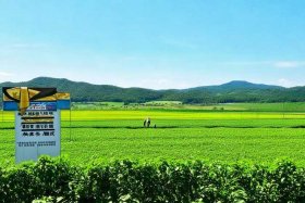 河北蒙澳农业发展有限公司 - 河北蒙澳农业发展有限公司怎么样