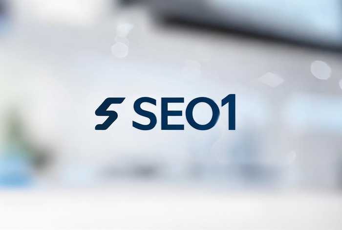 seo官网入口（seo1官方网站）