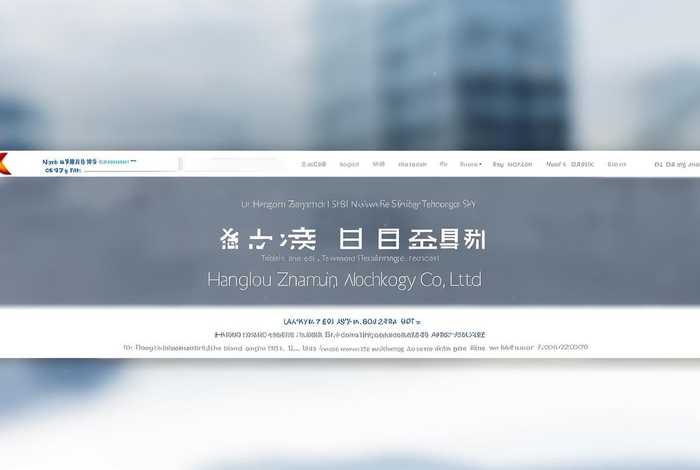 杭州展视网络科技有限公司网站；杭州展视网络科技有限公司网站地址