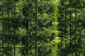 dw怎么把背景图片铺满、dw怎么将背景图片铺满