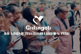 公司开发的app；广西好来来科技有限公司开发的app