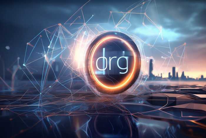 二级域名org（二级域名org是什么意思）