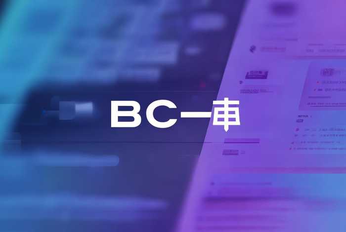 bc源码网（bc源码网站搭建）