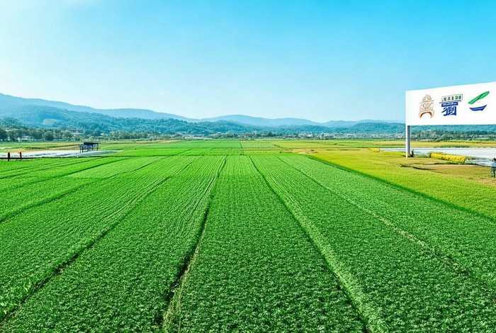 河北蒙澳农业发展有限公司 - 河北蒙澳农业发展有限公司怎么样 河北蒙澳农业发展有限公司 - 河北蒙澳农业发展有限公司怎么样