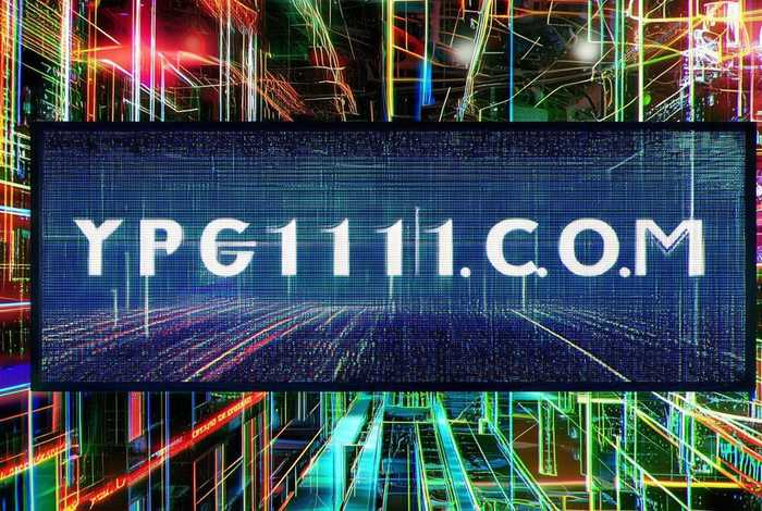 yp61111免费域名查询