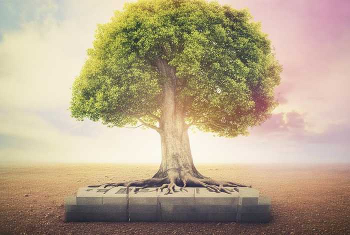 独立站seo是什么意思 独立站域名是什么意思