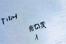 登录网站这几个字怎么弄；登录网站这几个字怎么弄出来
