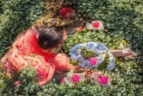 公司经营范围网络、营业执照网络公司经营范围