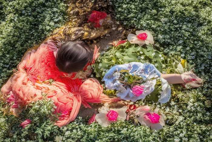 公司经营范围网络、营业执照网络公司经营范围