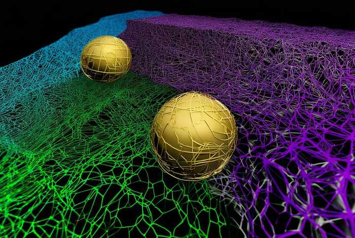 internet和network有什么区别(internet network 和web的区别在哪里) internet和network有什么区别(internet network 和web的区别在哪里)