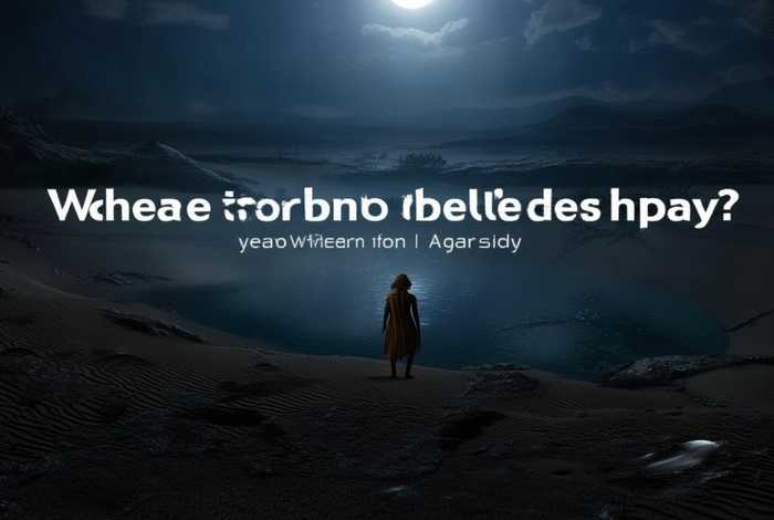 黑色沙漠在哪玩、黑色沙漠在哪玩比较好