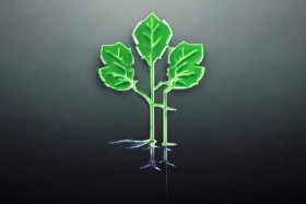 html下一级路径、html上一级路径