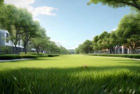 创建全国文明城市要求 - 创建全国文明城市要求校园周边200米内无