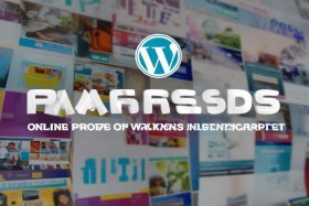wordpress成功网站、wordpress能做什么样的网站