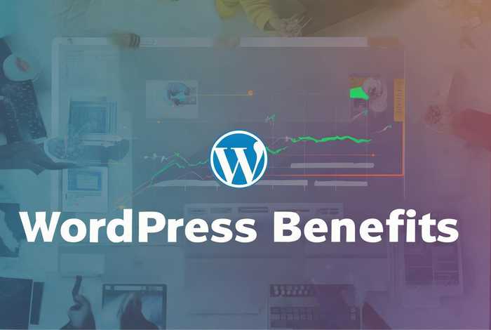 wordpress建站费用；用wordpress建站的好处
