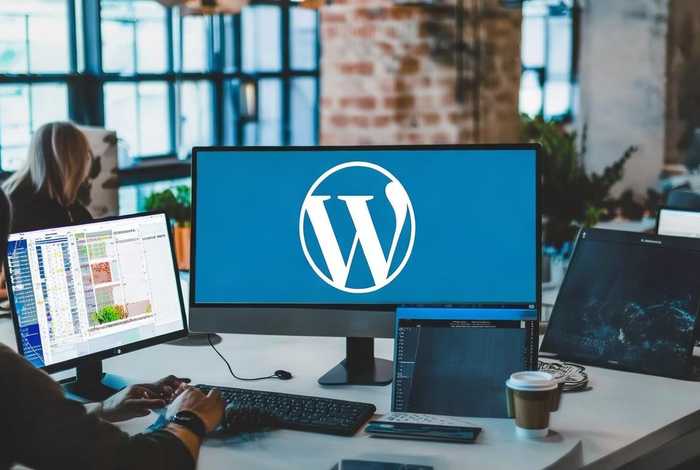 wordpress开发需要掌握技术，wordpress项目开发